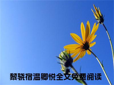 黎骁宿温卿悦全文免费阅读-（黎骁宿温卿悦）小说全文免费阅读正版无弹窗