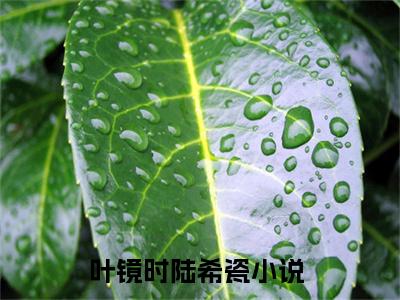 叶镜时陆希瓷(叶镜时陆希瓷)全文免费阅读无弹窗大结局_ (叶镜时陆希瓷免费阅读)最新章节列表_笔趣阁（叶镜时陆希瓷）