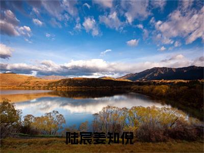 陆宸姜知倪小说大结局免费阅读，陆宸姜知倪抖音新上热文分享