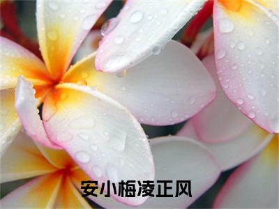 安小梅凌正风（安小梅凌正风）全文免费阅读无弹窗大结局_安小梅凌正风小说全文免费阅读最新章节列表_笔趣阁