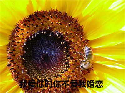 唐晓芸陈修泽（我爱你时你不爱我）全文免费阅读无弹窗大结局_唐晓芸陈修泽最新章节列表_笔趣阁(我爱你时你不爱我）