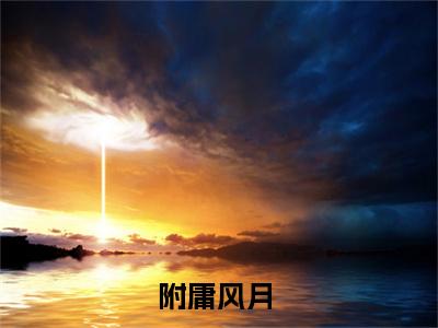 附庸风月（夏绯向钧）全文免费阅读无弹窗大结局_附庸风月夏绯向钧_笔趣阁