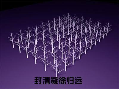封清凝徐归远小说最新章节（封清凝徐归远全文免费）小说全集无弹窗大结局_封清凝徐归远最新章节列表_笔趣阁（封清凝徐归远）