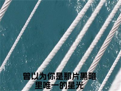 苏韫祝霆深小说曾以为你是那片黑暗里唯一的星光在哪里可以看-主角是苏韫祝霆深的小说曾以为你是那片黑暗里唯一的星光