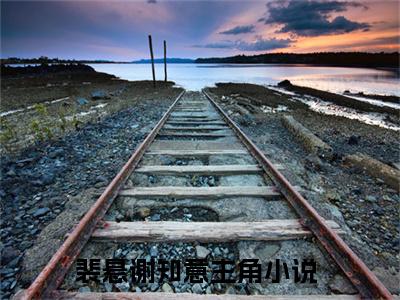 裴悬谢知意小说免费阅读裴悬谢知意小说全文免费阅读_裴悬谢知意最新章节列表笔趣阁