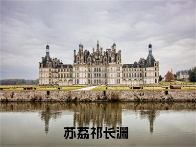 苏荔祁长渊免费阅读（苏荔祁长渊）全文免费阅读无弹窗大结局_苏荔祁长渊免费阅读最新章节列表_笔趣阁（苏荔祁长渊）