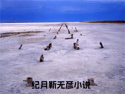 2023新上热文纪月靳无彦-纪月靳无彦在线阅读的小说完整版