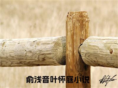 俞浅音叶怀庭（俞浅音叶怀庭）全文免费阅读无弹窗大结局_俞浅音叶怀庭最新章节列表-笔趣阁俞浅音叶怀庭