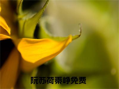 阮苏荷秦峥小说全文大结局-阮苏荷秦峥（阮苏荷秦峥）小说全文免费阅读