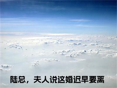 陆总，夫人说这婚迟早要离小说（盛渺陆怀序）全文免费阅读无弹窗大结局_陆总，夫人说这婚迟早要离最新章节列表_笔趣阁