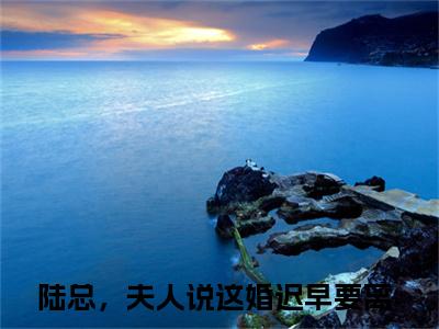 盛渺陆怀序全文免费在线阅读_（陆总，夫人说这婚迟早要离免费阅读无弹窗）盛渺陆怀序全文免费完结版阅读（陆总，夫人说这婚迟早要离）