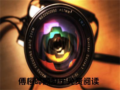 傅桓晔顾梦宁小说全文在线赏析 傅桓晔顾梦宁小说免费阅读全文大结局