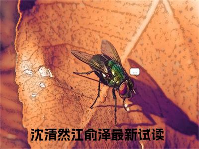 沈清然江俞泽（沈清然江俞泽）全文免费阅读无弹窗大结局_沈清然江俞泽最新章节列表_笔趣阁（沈清然江俞泽）