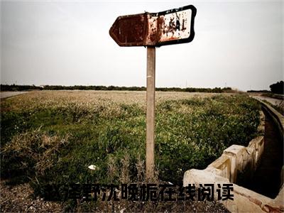 赵泽野沈晚栀抖音新上热文分享赵泽野沈晚栀-小说全文阅读
