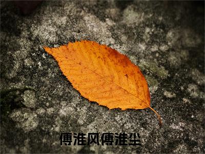 傅淮风傅淮尘（傅淮风傅淮尘）全文免费阅读无弹窗大结局_傅淮风傅淮尘热门小说最新章节阅读