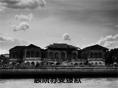 顾阮苏雯全集章节小说免费阅读完整版（顾阮苏雯）-顾阮苏雯小说免费阅读