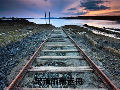 宋清雨秦远舟小说（宋清雨秦远舟）全文免费阅读无弹窗大结局_宋清雨秦远舟小说免费阅读_笔趣阁