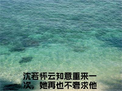 重来一次，她再也不奢求他的爱了沈若怀云知意免费阅读大结局无弹窗-重来一次，她再也不奢求他的爱了小说推荐沈若怀云知意精彩章节在线阅读