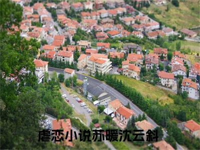 小说苏暖沈云斜免费阅读-（苏暖沈云斜）全文无弹窗阅读