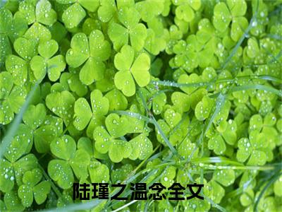 陆瑾之温念免费小说 陆瑾之温念在线阅读免费大结局