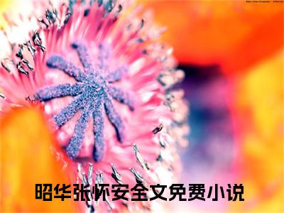 昭华张怀安(韶华)全文免费阅读无弹窗_(韶华)昭华张怀安小说最新章节列表笔趣阁（韶华）