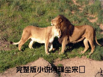 傅瑾尘宋玥（傅瑾尘宋玥）全文免费阅读无弹窗大结局_(傅瑾尘宋玥)最新章节列表_笔趣阁