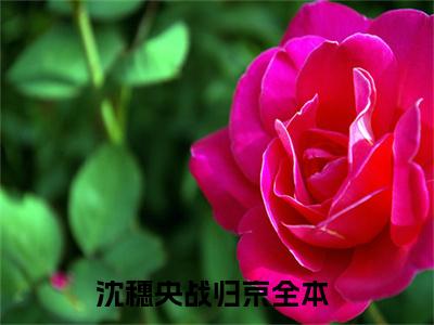 沈穗央战归京（沈穗央战归京）全文免费阅读无弹窗大结局_（沈穗央战归京全文免费阅读无弹窗）最新章节列表_笔趣阁