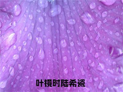 叶镜时陆希瓷全文免费阅读_叶镜时陆希瓷最新小说_笔趣阁