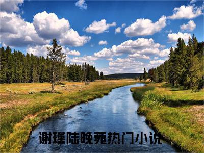 谢瑾陆晚菀抖音新上免费热文 谢瑾陆晚菀完结免费阅读无弹窗