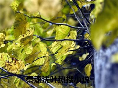 秦潇沈叶(秦潇沈叶)全文免费阅读无弹窗大结局_秦潇沈叶(秦潇沈叶小说全文无弹窗)完整版最新阅读（秦潇沈叶）