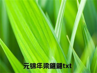 元锦年梁翩翩（元锦年梁翩翩）全文免费阅读无弹窗大结局_元锦年梁翩翩全文免费阅读（元锦年梁翩翩）最新章节列表_笔趣阁（元锦年梁翩翩）