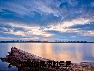盛尉凌桑全文免费阅读无弹窗大结局-盛尉凌桑在线阅读