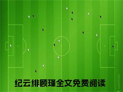 纪云绯顾瑾免费完结小说-纪云绯顾瑾在线阅读全文（纪云绯顾瑾）