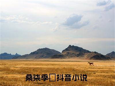 满分小说（桑柒季旻）全文免费阅读 桑柒季旻言情小说讲的是什么