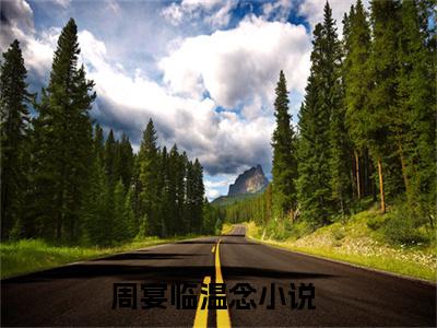 周宴临温念全文免费阅读_（周宴临温念免费阅读无弹窗）周宴临温念最新章节在线阅读笔趣阁