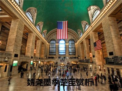 魏尧墨季楚笙全文免费阅读(魏尧墨季楚笙)全文免费阅读无弹窗大结局(魏尧墨季楚笙小说免费)最新章节列表 笔趣阁(魏尧墨季楚笙)