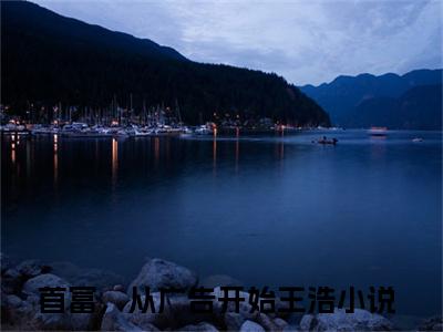 首富，从广告开始王浩小说免费阅读无弹窗-首富，从广告开始王浩（首富，从广告开始王浩）小说免费阅读无弹窗大结局
