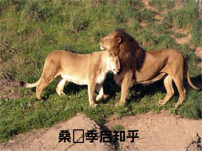 桑嫆季启小说（桑嫆季启）全文免费阅读无弹窗_桑嫆季启小说最新章节免费阅读_笔趣阁