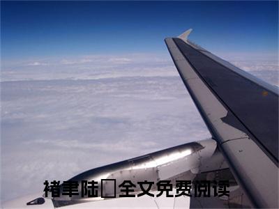 褚聿陆姈（褚聿陆姈）小说全文无删减-褚聿陆姈小说大结局免费阅读