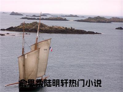 俞思柔陆明轩最新章节免费阅读-俞思柔陆明轩全文无弹窗试读