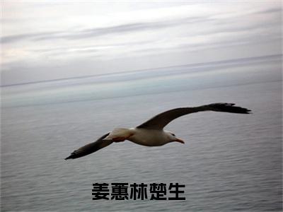 姜蕙林楚生在线阅读（姜蕙林楚生）全文无弹窗大结局_姜蕙林楚生全文在线阅读无弹窗