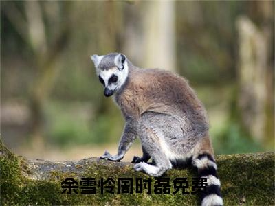 余雪怜周时磊（余雪怜周时磊小说）全文免费阅读无弹窗大结局_（余雪怜周时磊）余雪怜周时磊小说最新章节列表_笔趣阁（余雪怜周时磊小说）