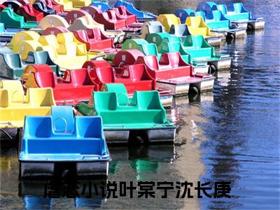 叶棠宁沈长庚txt（叶棠宁沈长庚）全文免费阅读无弹窗大结局_叶棠宁沈长庚最新章节列表_笔趣阁（叶棠宁沈长庚）