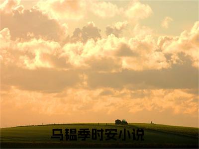 乌韫季时安分享一本言情小说 乌韫季时安免费章节试读