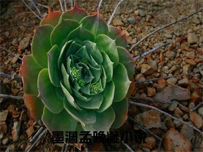 墨渊孟晚凝（墨渊孟晚凝免费小说）全文免费阅读无弹窗大结局_墨渊孟晚凝最新章节列表_笔趣阁（墨渊孟晚凝小说）