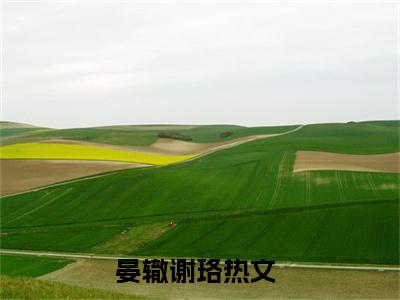 晏辙谢珞全文阅读-晏辙谢珞小说全文免费阅读_晏辙谢珞最新章节列表_笔趣阁