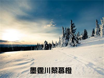 墨霆川黎慕橙在线阅读的小说完整版-墨霆川黎慕橙（墨霆川黎慕橙）小说免费阅读