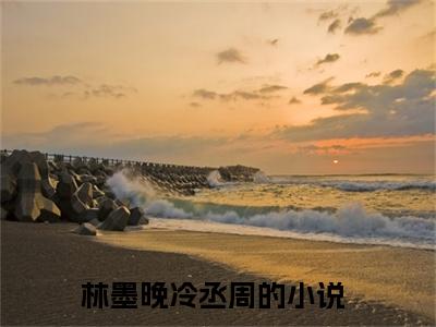 林墨晚冷丞周（林墨晚冷丞周全文免费）小说全文免费阅读无弹窗大结局_(林墨晚冷丞周免费阅读）林墨晚冷丞周最新章节列表_笔趣阁（林墨晚冷丞周）