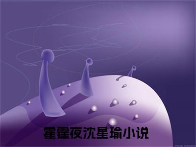 霍霆夜沈星瑜小说全文免费阅读(霍霆夜沈星瑜)全文免费阅读无弹窗大结局_ 霍霆夜沈星瑜最新章节列表_笔趣阁（霍霆夜沈星瑜小说）
