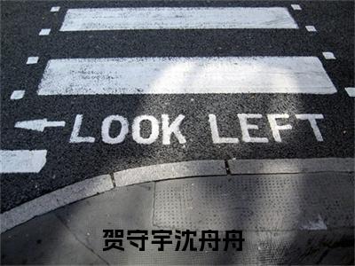 贺守宇沈舟舟（贺守宇沈舟舟）小说全文免费阅读无弹窗大结局_（贺守宇沈舟舟）贺守宇沈舟舟最新章节列表笔趣阁（贺守宇沈舟舟）